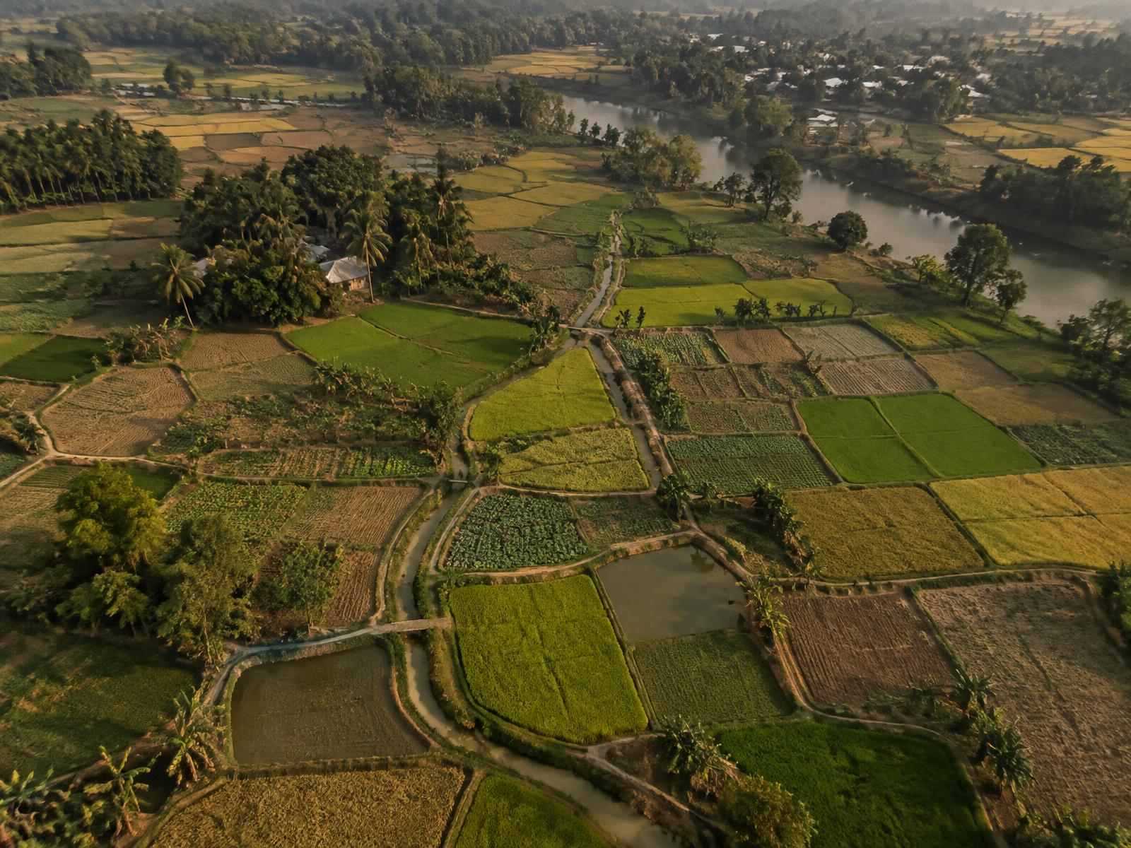 Aerial view of smallholder farmland divided into small plots by irrigation channels